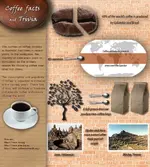 Coffee-Facts-and-Trivia-921x1024.webp