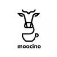 moocino